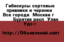 Гибискусы сортовые, прививки и черенки - Все города, Москва г.  »    . Бурятия респ.,Улан-Удэ г.